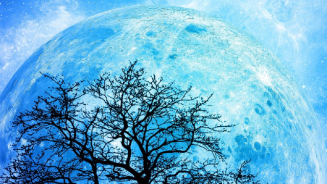 Previsioni astrologiche dell'8 febbraio: Gemelli trover&agrave; l'amore, Bilancia ok nel lavoro.