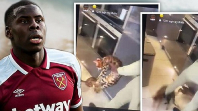 Kurt Zouma frappe son chat et risque des sanctions par son club (capture YouTube)