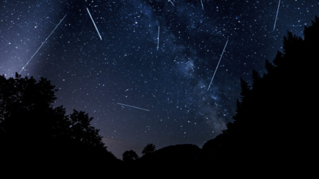 Previsioni zodiacali del 9 febbraio: Leone in contrasto, Bilancia dolce.