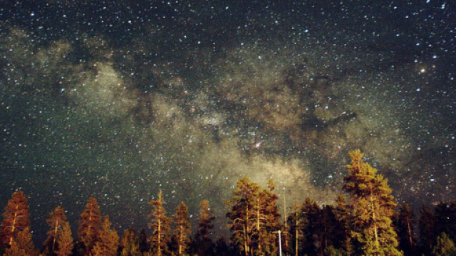 Previsioni astrali del 14 marzo: Toro coraggioso, Scorpione intraprendente.