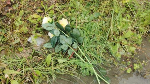 Bimba ucraina investita e uccisa a Crotone.