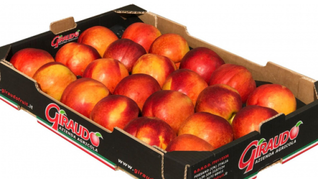 Pesche nettarine, aumenta l'export italiano.