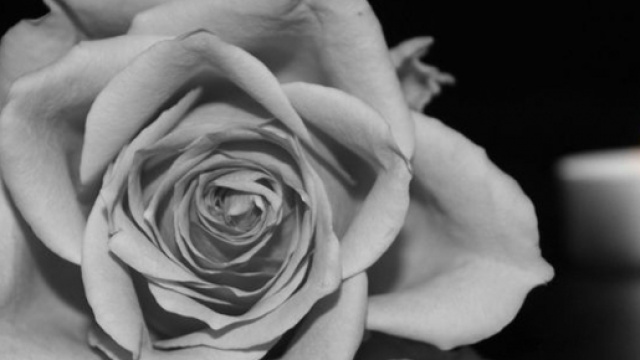 Elisa Antonacci, giovane atleta, &egrave; stata uccisa dalla leucemia.