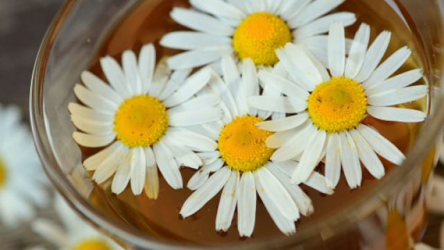 L'oroscopo settimanale dal 4 al 10 aprile: pagelle, al Leone un bel 'dieci' (prima parte).