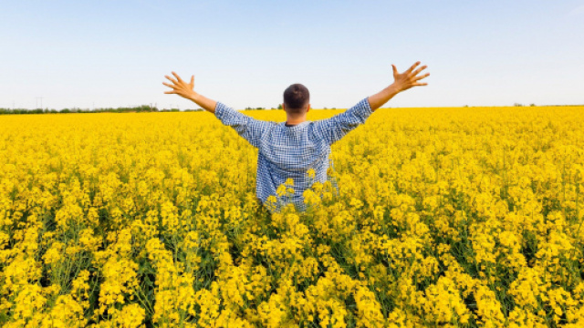 L'oroscopo del giorno 6 aprile: Sagittario al 'top', Acquario 'flop' (2^ tranche).