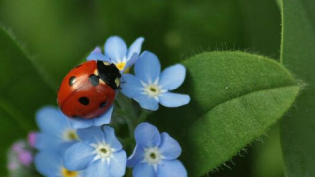 L'oroscopo di domani 6 aprile: Ariete e Gemelli tra i fortunati di mercoled&igrave; (1^ parte)