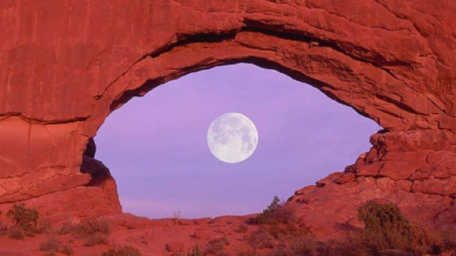 Oroscopo e classifica su fortuna e lavoro di aprile: nuove idee per il Leone.