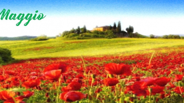 L'oroscopo di maggio, 1^ sestina: mese esplosivo per l'Ariete e il Leone.