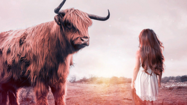 L'oroscopo di domani 20 aprile: il Sole lascia l'Ariete, Cancro tra i migliori (1^ met&agrave;).