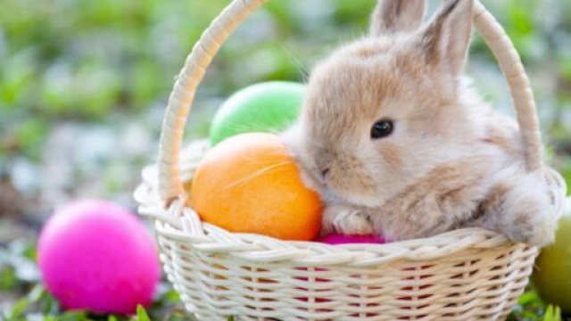 Oroscopo e classifica weekend di Pasqua, 16 e 17 aprile: sorprese per Leone.