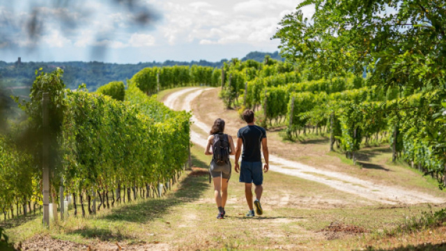 L'oroscopo di domani 21 aprile: cinque stelline a Toro, Leone e Vergine (1^ parte).