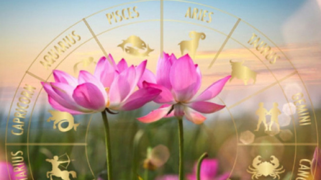 Oroscopo e natura, un fiore per i segni zodiacali.