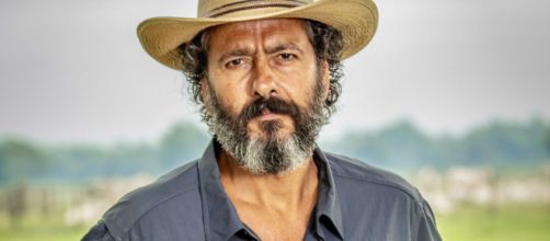 Le&ocirc;ncio em 'Pantanal'. (Divulga&ccedil;&atilde;o/TV Globo)