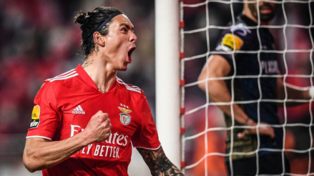 David Nunez, attaccante del Benfica.