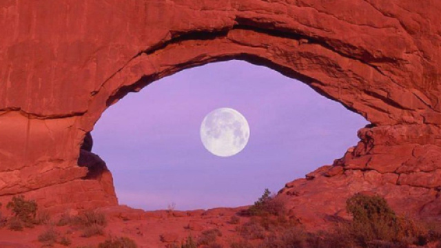 Oroscopo e classifica su fortuna e lavoro di maggio: risultati top per Leone, Toro tenace.