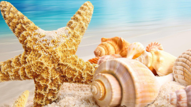 L'oroscopo di domani 6 maggio 2022: sentimenti al top per Cancro e Leone (1^ met&agrave;).