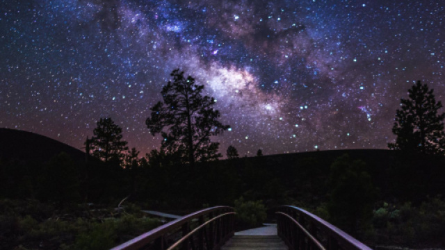 Previsioni astrologiche dell'8 aprile: Leone leale, Scorpione coraggioso.