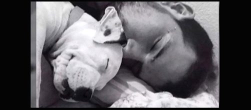 Kevin, el joven atacado por su perro de raza pitbull (Captura 'Cuatro al d&iacute;a')