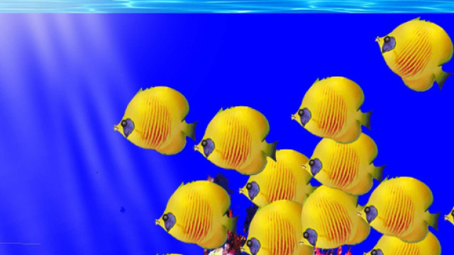 Oroscopo e classifica di luned&igrave; 23 maggio: Pesci esploratori, Scorpione perplesso.