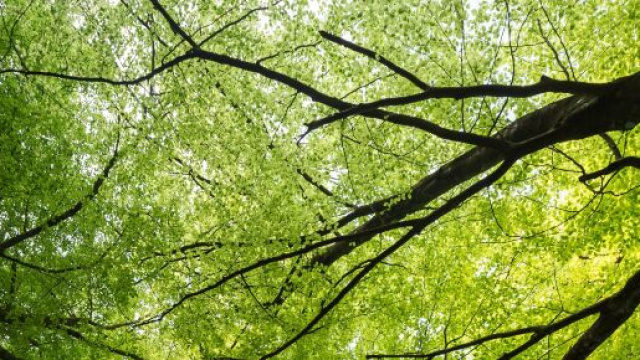 La responsabilit&agrave; sociale delle aziende &egrave; sempre pi&ugrave; decisiva.