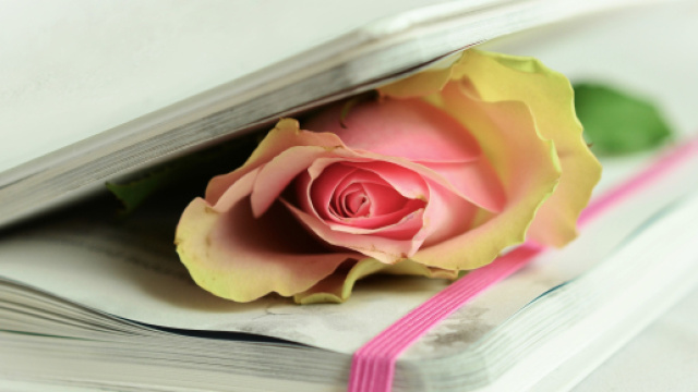 L'oroscopo del giorno 9 maggio: Capricorno al top, Pesci in affanno (2&ordf; parte).