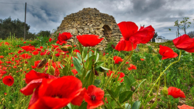 L'oroscopo del giorno 11 maggio: cinque stelle al Capricorno, bene Pesci (2&ordf; met&agrave;).