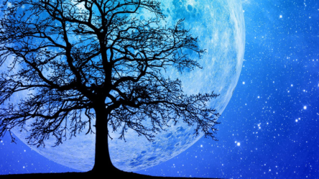 Previsioni astrologiche per la giornata dell'8 maggio: splendida domenica per l'Ariete.