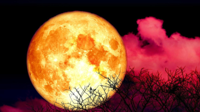 L'oroscopo del giorno 14 maggio: Luna in Scorpione, Bilancia 'si' in amore (2^ met&agrave;).