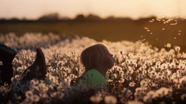 Oroscopo del 16 giugno con le pagelle per ogni segno: svolta per Leone.