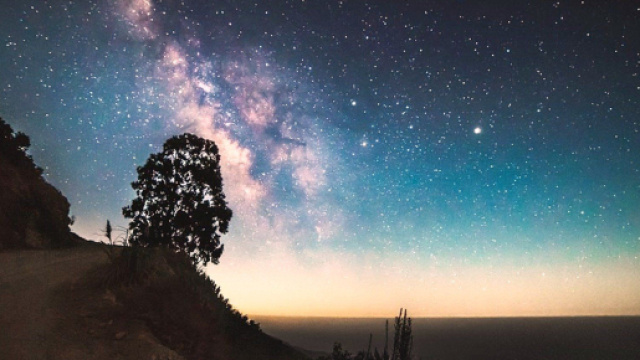 Previsioni astrologiche del 17 giugno: Leone determinato, Capricorno competitivo.