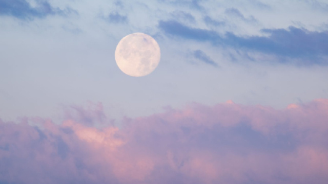 L'oroscopo di domani 24 giugno: ottima giornata per Vergine e Gemelli (1&ordf; met&agrave;).