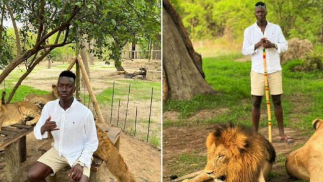 OM : Pape Gueye passes ses vacances avec des lions et surprend les fans (captures Instagram Pape Gueye et YouTube)
