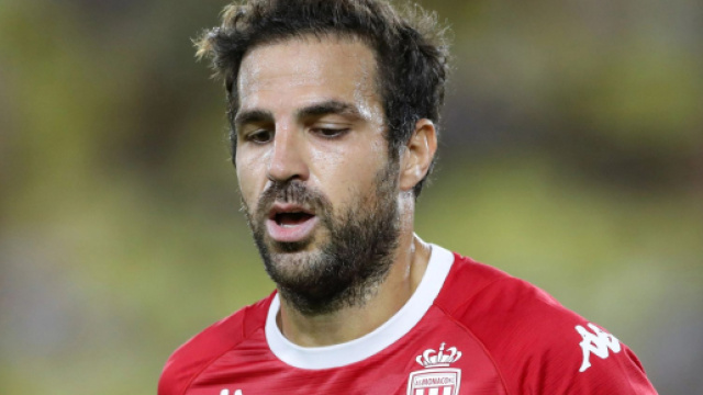 Calciomercato Sampdoria: Fabregas sogno per il centrocampo.