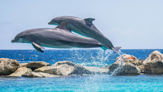 L'oroscopo dal 6 al 12 giugno: settimana vantaggiosa per il Cancro, Pesci presuntuosi.