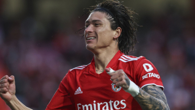 In foto Darwin Nu&ntilde;ez, attaccante del Benfica.