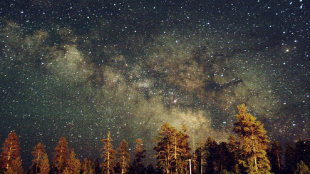 Previsioni astrologiche e classifica del 2 luglio: Toro emotivo, Scorpione &egrave; tenace.