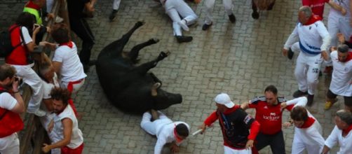 El sexto encierro cont&oacute; con los toros de la ganadera extreme&ntilde;a de Jandilla (Twitter, elalberotoro)