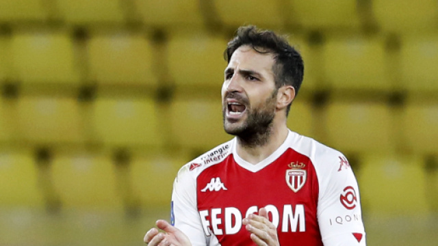 Colpo del Como: quasi ufficiale Fabregas.