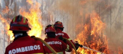 Inc&ecirc;ndios de grandes dimens&otilde;es devastam in&uacute;meros terrenos e deixam pessoas sem casas (Divulga&ccedil;&atilde;o/Bombeiros)