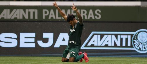 Palmeiras encara o Am&eacute;rica-MG nesta quinta-feira (Cesar Greco/Palmeiras)