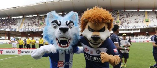 Remo e Paysandu se enfrentam neste domingo (arquivo Blasting News).