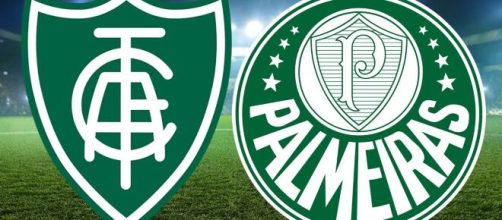 Onde assistir Am&eacute;rica-MG x Palmeiras ao vivo (Arte/Eduardo Gouvea)