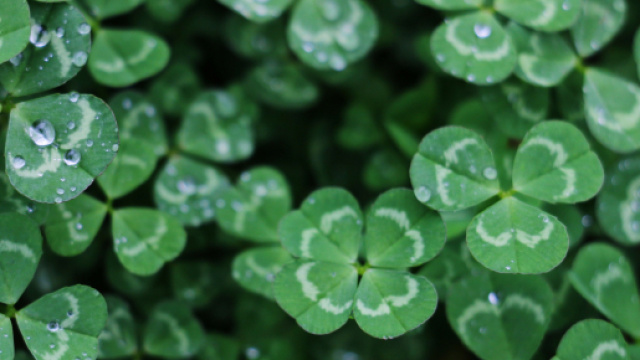 Oroscopo e classifica weekend 23 e 24 luglio: hobby per Toro e Ariete