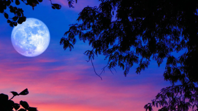 L'oroscopo di domani 28 luglio: Luna in Leone, Venere penalizza l'Ariete (1^ met&agrave;).