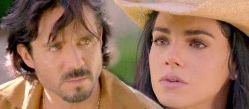 Rafael e Fernanda dan&ccedil;am na festa de Luiz. (Reprodu&ccedil;&atilde;o/SBT)