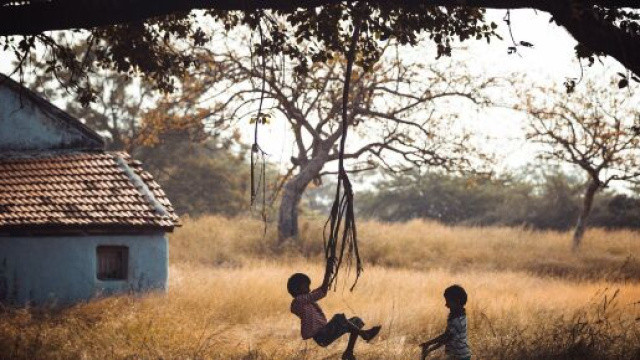 L'oroscopo del 29 luglio e pagelle: giornata da 6 per il Toro e 7 per i Gemelli.