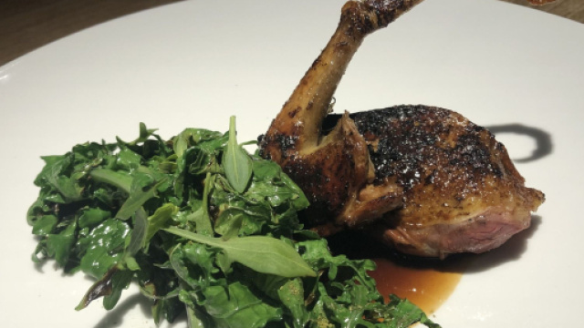 Petti di anatra: la ricetta gustosa.