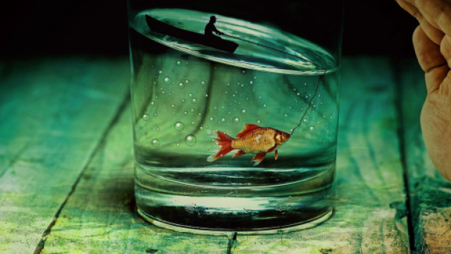 L'oroscopo del 13 agosto con le pagelle zodiacali: giornata da otto per i Pesci.