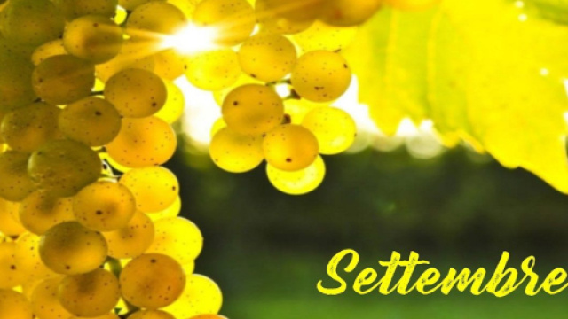 L'oroscopo del mese di settembre: vita sentimentale appagante per i nativi Scorpione.