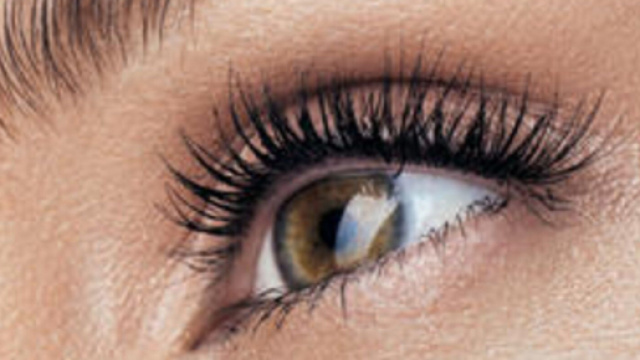 Ipovedenti recuperano vista grazie a una cornea artificiale derivata da tessuti animali.